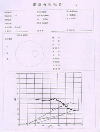 胶质层打印报告A